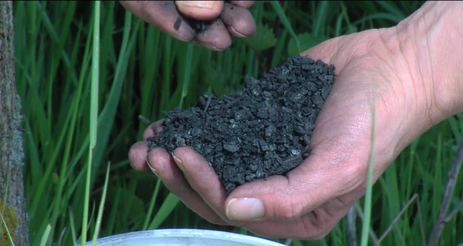 Biochar 1