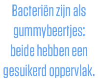 Quote